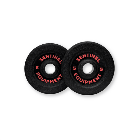 Sentinel Equipment - Sentinel Equipment 5kg Polyurethane Precision Plate - Polyurethane plate